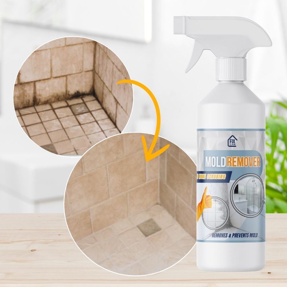 MoldDefy™ — Banish Mold Fast and Keep Your Home Fresh, Safe, and Welcoming
