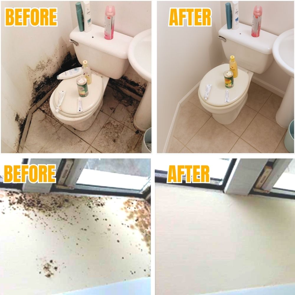 MoldDefy™ — Banish Mold Fast and Keep Your Home Fresh, Safe, and Welcoming
