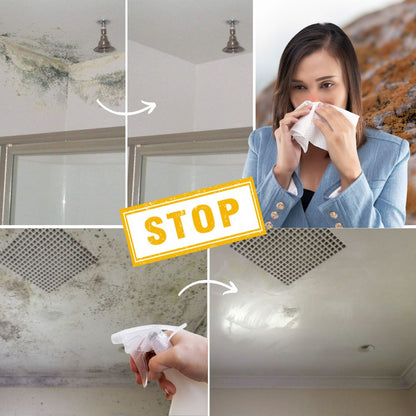 MoldDefy™ — Banish Mold Fast and Keep Your Home Fresh, Safe, and Welcoming